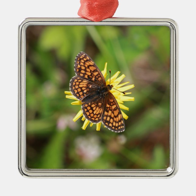 Fint, Butterfly! Julgransprydnad Metall (Framsidan)