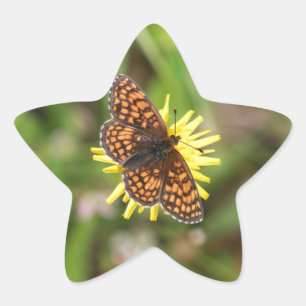 Fint, Butterfly! Stjärnformat Klistermärke