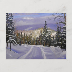 Fint Colorado Mountain Snö Scene Vykort