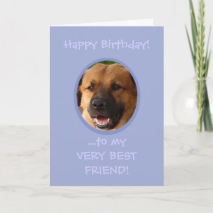 Fint födelsedagsfoto från Hund till ägarfotokort f Kort