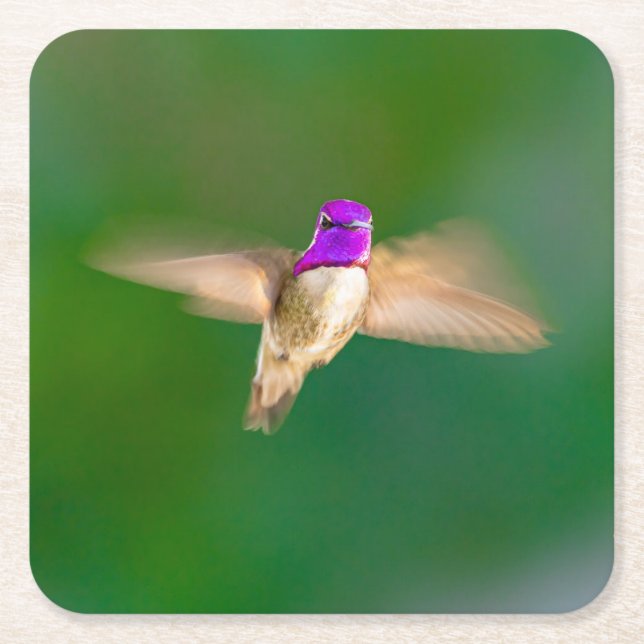 Fint Hummingbird i Underlägg set Papper Kvadrat (Framsidan)