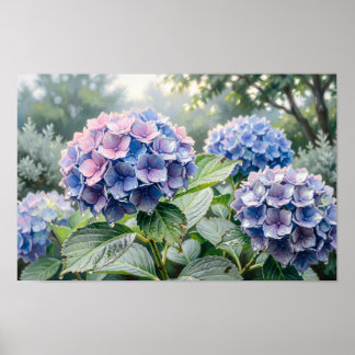 Fint konsttryck av blåa och lila hydrangeor poster