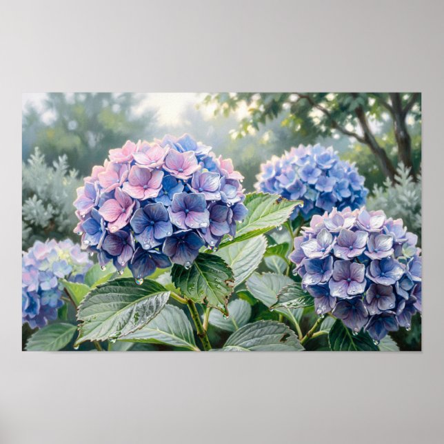 Fint konsttryck av blåa och lila hydrangeor poster (Framsidan)