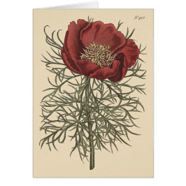 Fint lövad pion botanisk illustration hälsningskort
