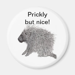 Fint men fint porcupin magnet