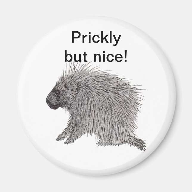 Fint men fint porcupin magnet (Framsidan)