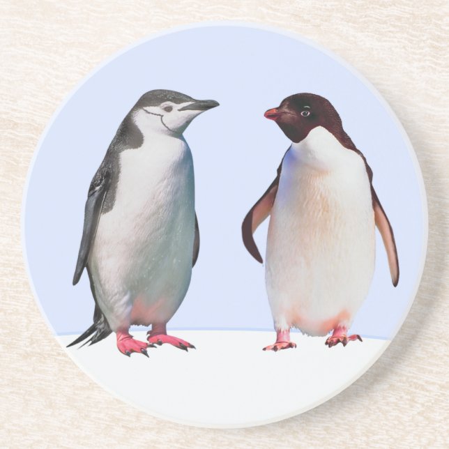 Fint Penguin Bird Couple på Light Blue Underlägg (Framsidan)