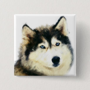 Fint Pin-knapp - Siberian husky Knapp
