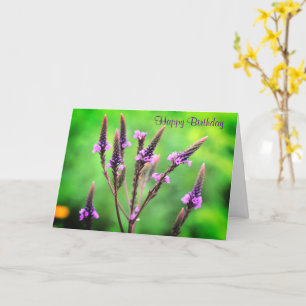 Fint Vild Vervain Flower Birthday Kort