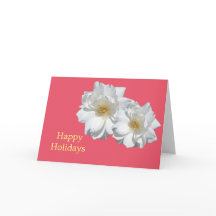 Fint vit ros blommor Red glad helg