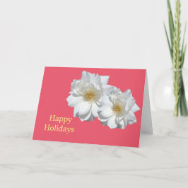 Fint vit ros blommor Red glad helg