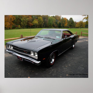 FintCoronet R/T Poster
