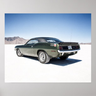 Finthemicuda på Bonneville salt lägenheter Poster