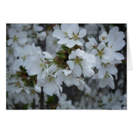 "Fintliga Blommar" OBS Kort