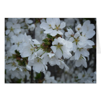 "Fintliga Blommar" OBS Kort