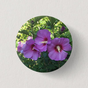Fintret Rosa ros i Sharon/Hibiscus Flower Photo Knapp