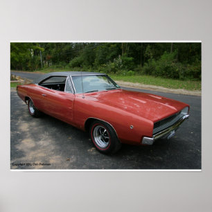 Fintuppladdare R/T Poster