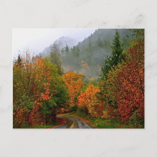 Fintvägvykort Vykort (Framsida)