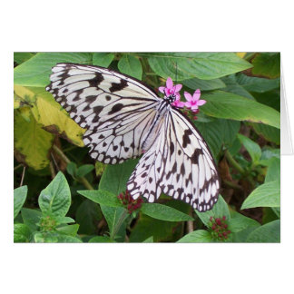 Fintvätt 1 hälsningskort