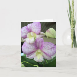 Fintvätt av blankprov för vit och lila eller chid anteckningskort