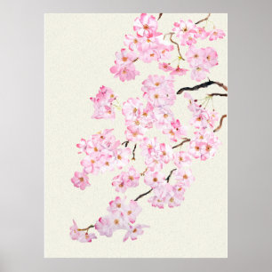 Fintvätt av blommar för körsbär med Rosa 2024 Poster