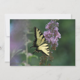 Fintvätt av en fjäril - Flat hälsningskort Kort