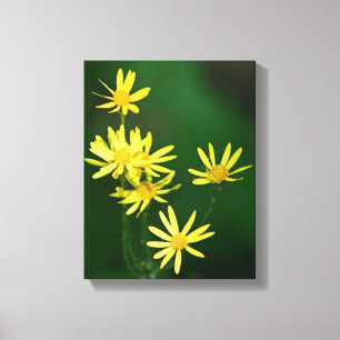 Fintvätt av Gult Daisy Wildblommor Canvastryck