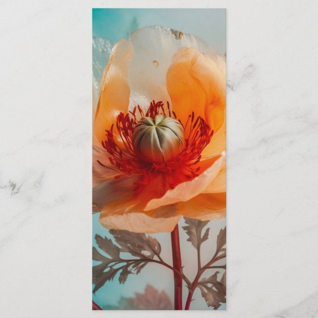 Fintvätt av Orange - bokmärke Meny (Framsida)