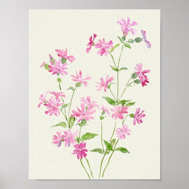 Fintvätt av ro-rosa-röda kampipelblommor, vattenfä poster (Framsidan)