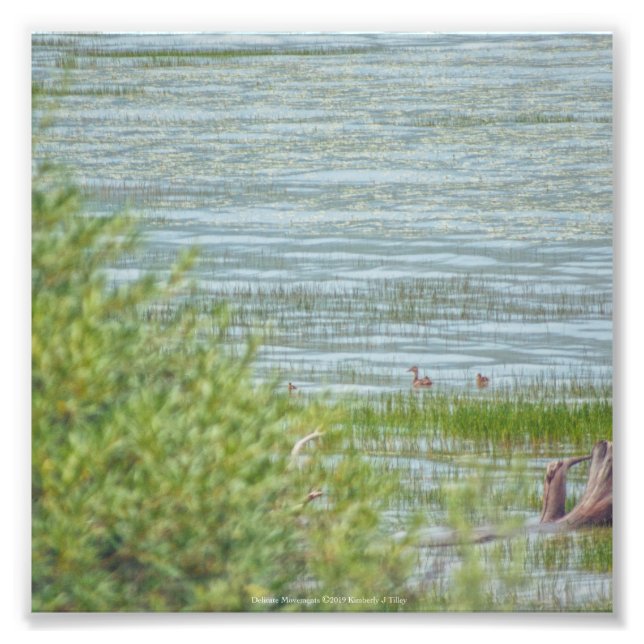 Fintvätt av rörelse fototryck (Framsidan)
