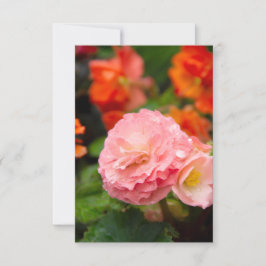 Fintvätt av rosa efter regnet