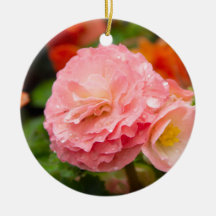 Fintvätt av rosa efter regnet