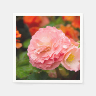 Fintvätt av rosa efter regnet pappersservett