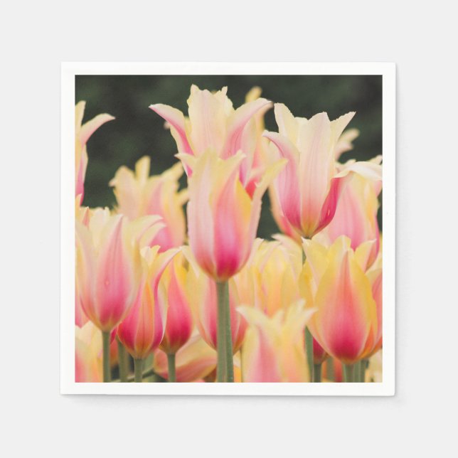 Fintvätt av Rosa Petals Pappersservett (Framsidan)