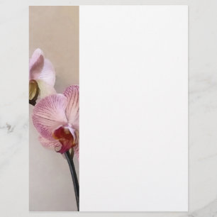 Fintvätt av Rosa Phalaenopsis Orchids Reklamblad