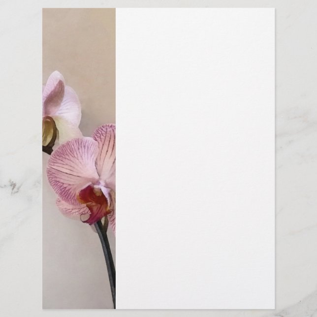 Fintvätt av Rosa Phalaenopsis Orchids Reklamblad (Framsidan)