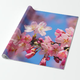 Fintvätt av Rosa Sakura Flowers Presentpapper