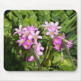 Fintvätt av vildblommor från rosa Vår Musmatta