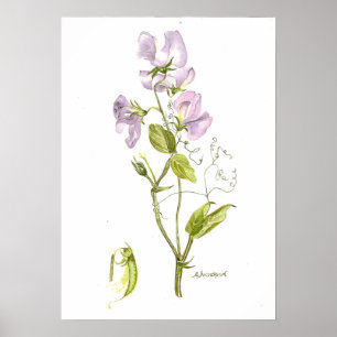 Fintvätt av violett färg poster