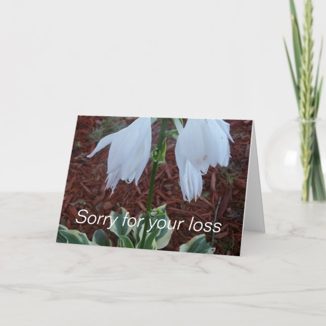 Fintvätt av vita Sol Hosta Flowers på en sympati Kort (Framsida)