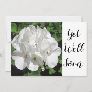 Fintvätt av vitt Geranium Photo Get well Flate Car