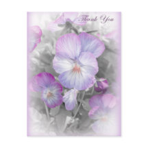 Fintvätt av vykort för Tack av Lila Pansies