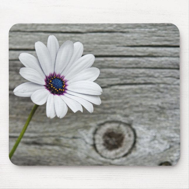 Fintvätt Daisy Musmatta (Framsidan)