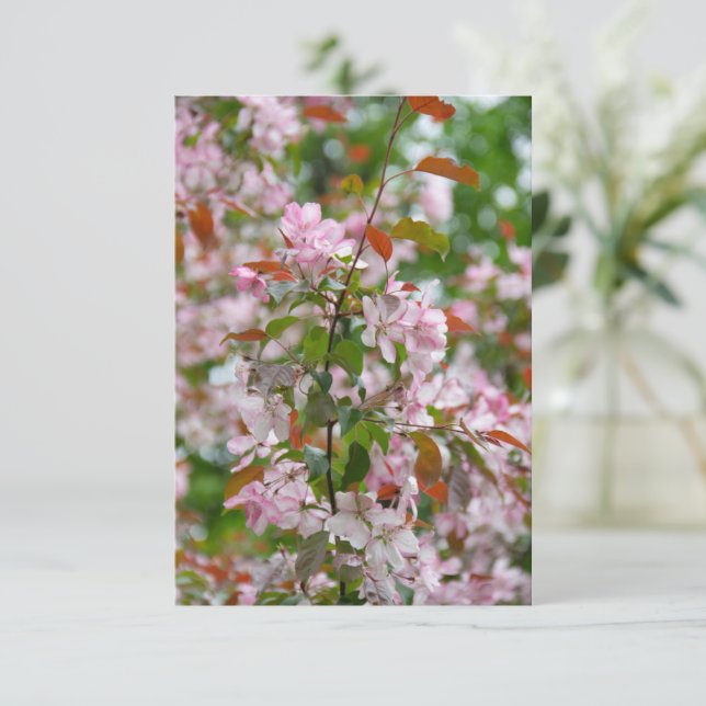 Fintvätt gren med blomäpple träd (Stående Fram)