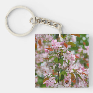 Fintvätt gren med blomäpple träd