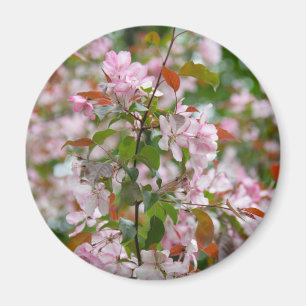 Fintvätt gren med blomäpple träd magnet