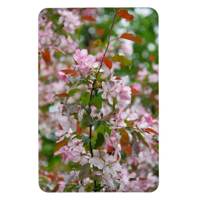 Fintvätt gren med blomäpple träd magnet (Vertikal)