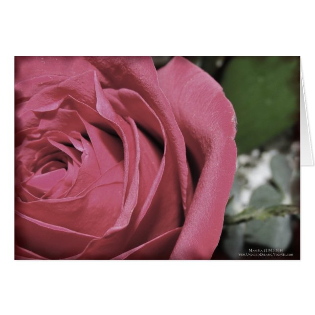 Fintvätt Hälsningskort (Framsidan Horizontal)