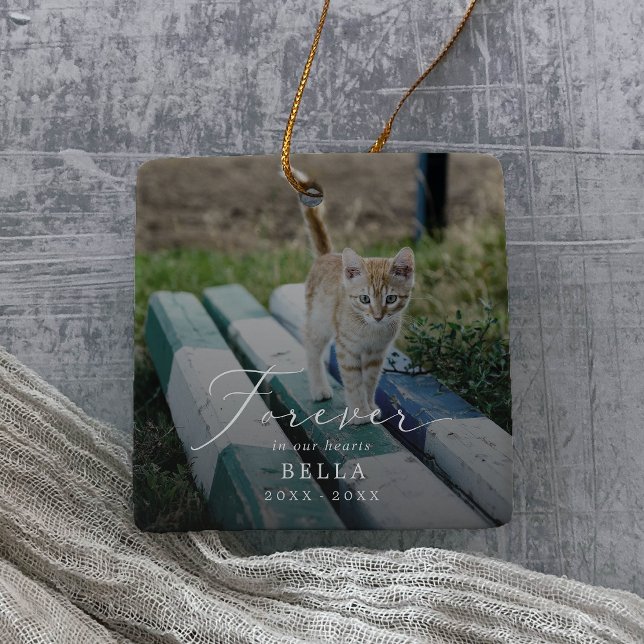 Fintvätt - Helgdag för fet-katt för överlägg Julgransprydnad Keramik (Skapare uppladdad)