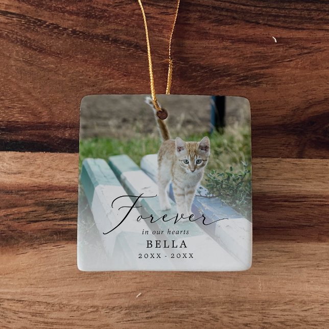 Fintvätt i våra hjärtan - fotokattminnesstund julgransprydnad keramik (Skapare uppladdad)